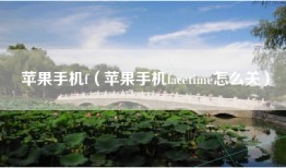 苹果手机f（苹果手机facetime怎么关）
