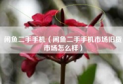 闲鱼二手手机（闲鱼二手手机市场旧货市场怎么样）