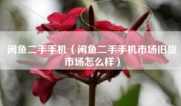 闲鱼二手手机（闲鱼二手手机市场旧货市场怎么样）