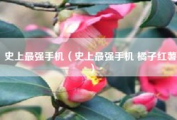 史上最强手机（史上最强手机 橘子红薯）