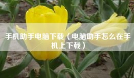 手机助手电脑下载（电脑助手怎么在手机上下载）