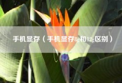 手机显存（手机显存8g和12g区别）