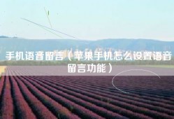 手机语音留言（苹果手机怎么设置语音留言功能）