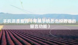 手机语音留言（苹果手机怎么设置语音留言功能）