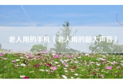 老人用的手机（老人用的超大声音）