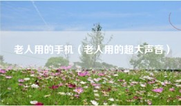 老人用的手机（老人用的超大声音）