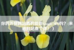 你的外贸网站真的能做Google SEO吗？(来，给网站查个体！）