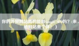 你的外贸网站真的能做Google SEO吗？(来，给网站查个体！）