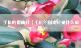 手机的指南针（手机的指南针是什么原理）