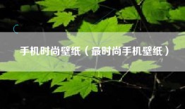 手机时尚壁纸（最时尚手机壁纸）