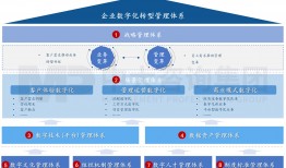 数字化：国有企业数字化转型举措和模式探讨（二）