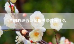 全国心理咨询师报考条件是什么