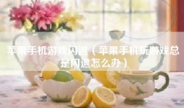 苹果手机游戏闪退（苹果手机玩游戏总是闪退怎么办）
