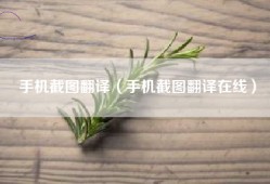 手机截图翻译（手机截图翻译在线）