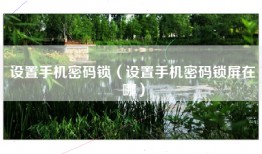 设置手机密码锁（设置手机密码锁屏在哪）