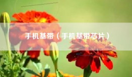 手机基带（手机基带芯片）