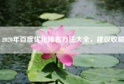 2020年百度优化排名方法大全，建议收藏