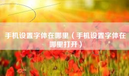 手机设置字体在哪里（手机设置字体在哪里打开）
