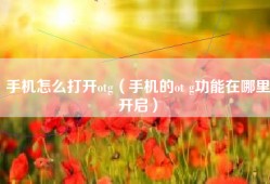 手机怎么打开otg（手机的ot g功能在哪里开启）