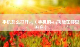 手机怎么打开otg（手机的ot g功能在哪里开启）