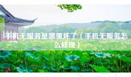 手机无服务是哪里坏了（手机无服务怎么修理）