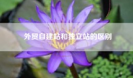 外贸自建站和独立站的区别