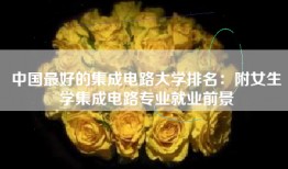 中国最好的集成电路大学排名：附女生学集成电路专业就业前景