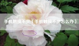 手机触摸不灵（手机触摸不灵怎么办）