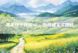 苹果终于开放NFC，但得留下买路财