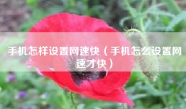手机怎样设置网速快（手机怎么设置网速才快）
