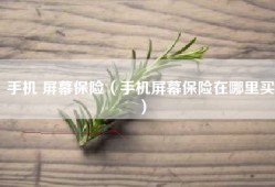 手机 屏幕保险（手机屏幕保险在哪里买）
