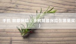 手机 屏幕保险（手机屏幕保险在哪里买）