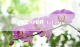 华夏SEO软件  1.1.1 beta