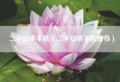 二手安卓手机（二手安卓手机推荐）