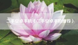 二手安卓手机（二手安卓手机推荐）