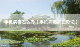 手机病毒怎么办（手机病毒怎么办法）