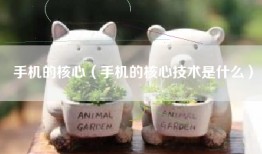 手机的核心（手机的核心技术是什么）