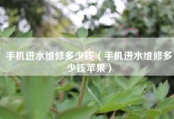 手机进水维修多少钱（手机进水维修多少钱苹果）
