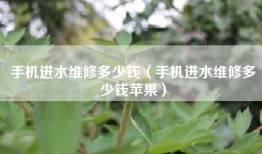 手机进水维修多少钱（手机进水维修多少钱苹果）