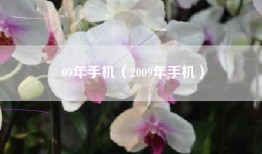 09年手机（2009年手机）