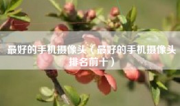 最好的手机摄像头（最好的手机摄像头排名前十）