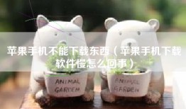 苹果手机不能下载东西（苹果手机下载软件慢怎么回事）