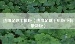 热血足球手机版（热血足球手机版下载最新版）