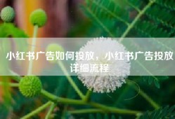 小红书广告如何投放，小红书广告投放详细流程