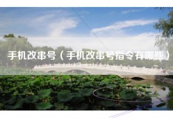 手机改串号（手机改串号指令有哪些）
