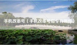 手机改串号（手机改串号指令有哪些）