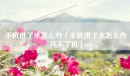 手机进了水怎么办（手机进了水怎么办开不了机）