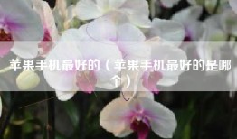 苹果手机最好的（苹果手机最好的是哪个）