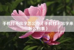 手机打不出字怎么办（手机打不出字来怎么回事）