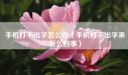 手机打不出字怎么办（手机打不出字来怎么回事）